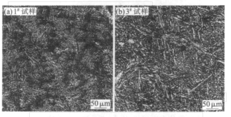 Fig.2 Microstructure of as-cast sample No.#1 and #3