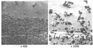 Fig. 3 　SEM image at the bond of two materials