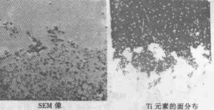 Fig. 4 　SEM image at the bond of two materials and distribution of Ti