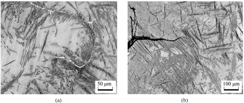 Figure 4. Metallographic structure of the fracture interface.